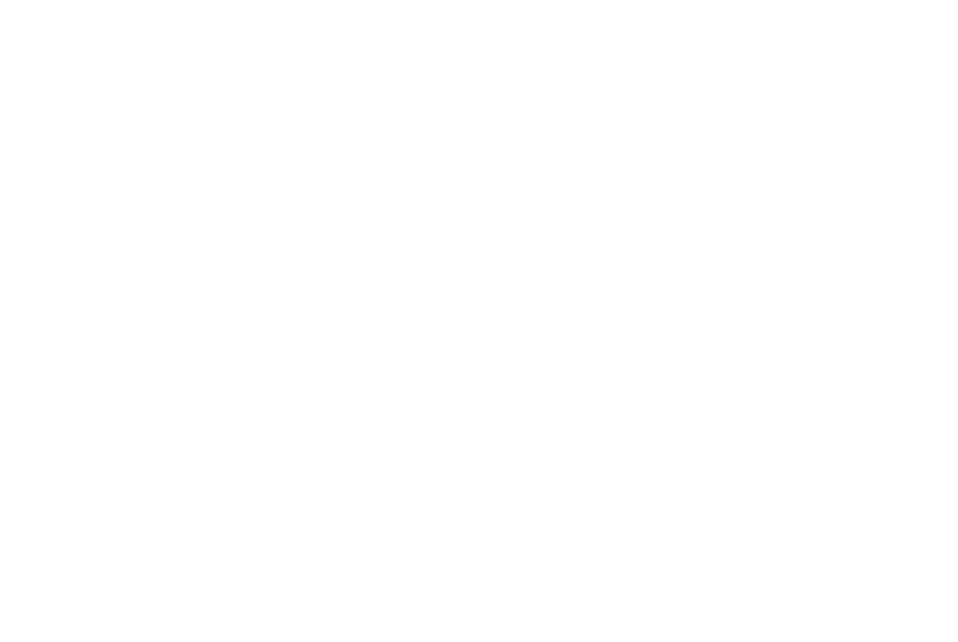 Grupo Martinelli